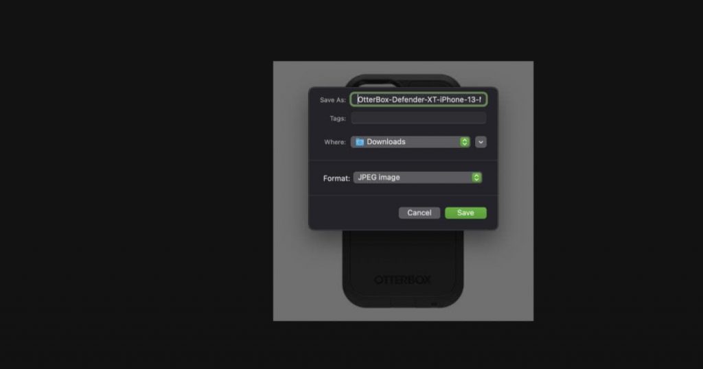 saving-image-using-descriptive-alt-text