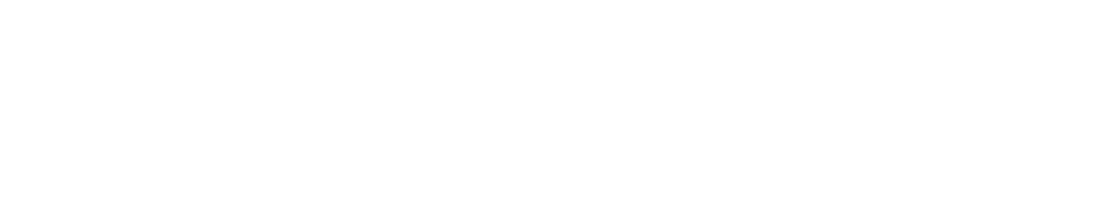 Shopify Partners Logo (as used by Shopify Development Partners)